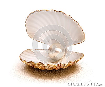 Sea shell with pearl Stock Photo